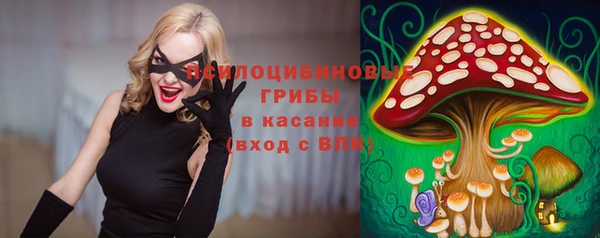 сатива Алзамай