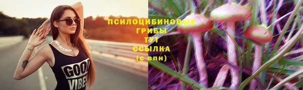 каннабис Алексин