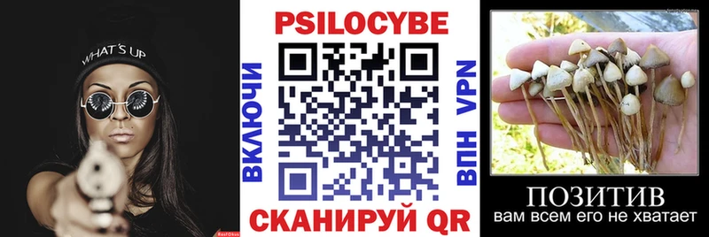 Галлюциногенные грибы MAGIC MUSHROOMS  Байкальск 